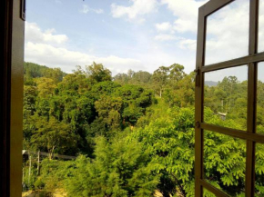 Green View Ella